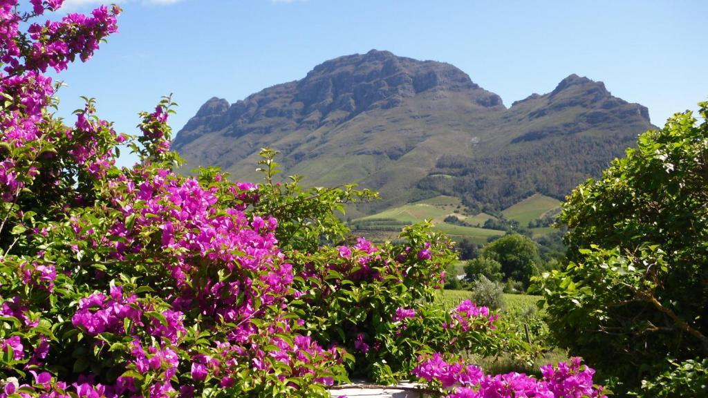 Dreamcatcher Tulbagh Quarto foto